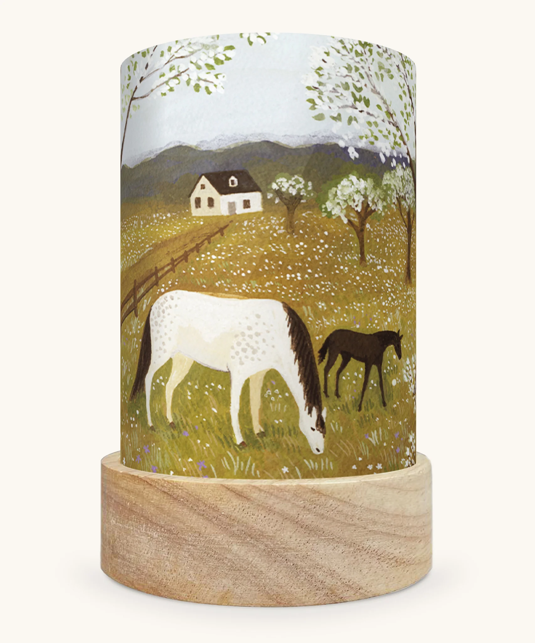 Product image 65